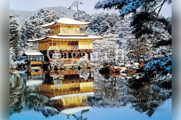 ජපන් යන්න සිහින දකින ඔයාට සුබ ආරංචියක් ..