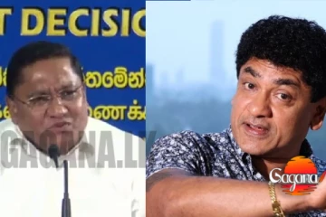 යුටියුබ් සුදාටත් ඉදිරියේදී නීතිය ක්‍රියාත්මක බව ඇමති විජිතගේ කටින්ම