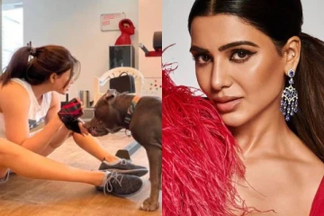 தனிமையில் நாயுடன் தான் சாகப்போற?விவாகரத்துக்கு பின் நடிகை சமந்தாவுக்கு சாபம் விட்ட நபர்