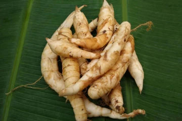 නම ඇහුවත් එපා කියන අලේ, සුපිරි බලේ.