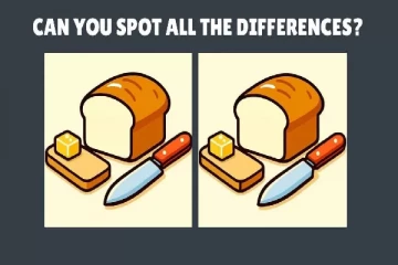 உணவு பாண்: எளிதில் கண்டுகொள்ள முடியாது இதில் இருக்கும் 3 வித்தியாசங்கள் என்ன?