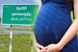 தமிழர் பகுதியில் சீரழியும் காலாச்சாரம்; தகாத உறவில் பிறந்த குழந்தையை கொன்ற பெண்