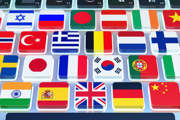 இலங்கையர்களுக்கு சர்வதேச மொழிகளை பயிலும் சந்தர்ப்பம் ! - ஐபிசி தமிழ்