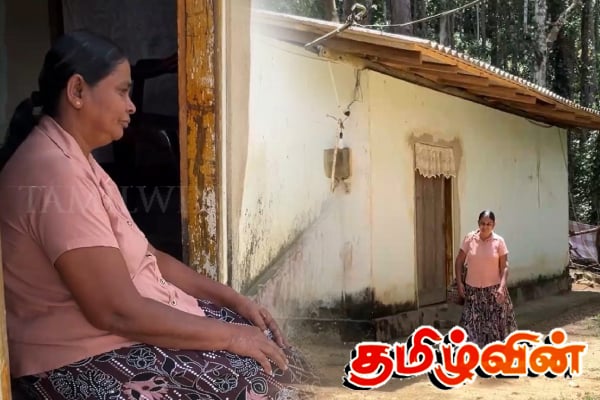 தென்னிலங்கையில் உயிருடன் வாழும் பெண்ணுக்கு வழங்கப்பட்ட இறப்புச் சான்றிதழ் | Woman Receives A Death Certificate Still Alive