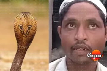 මගේ බිරිද රෑට නයෙක් වෙලා මාව මරන්න හදනවා - පොලිස් පැමිණිල්ලක්