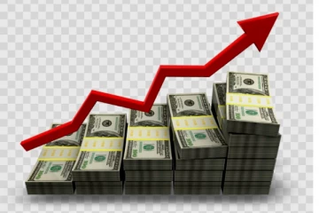 ඩොලරය 290 වෙයි...කළු කඩේ 310 පනියි.දැඩි අවධානම් තත්ත්වයක්..