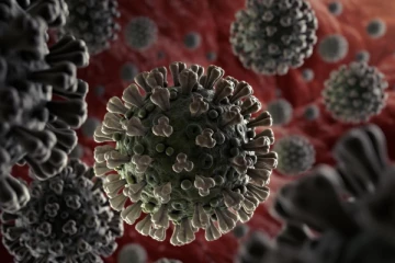 இன்று தமிழகத்தில் புதிதாக 4,481  பேருக்கு கொரோனா .. 102 பேர் உயிரிழப்பு!