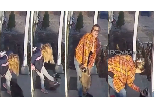 raccoon-animal-attack-mother-saved-baby