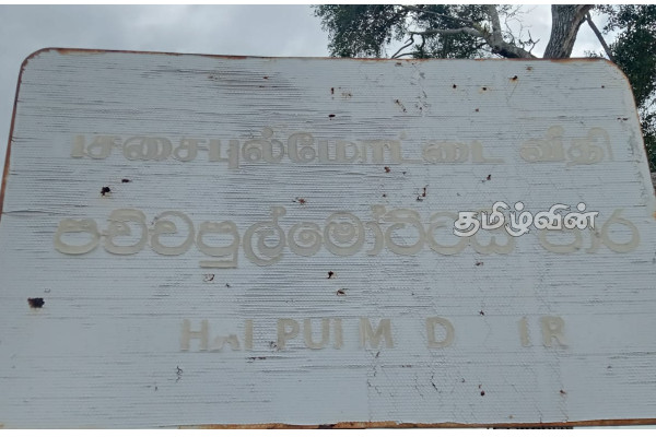பச்சைப்புல்மோட்டை மாவீரர் துயிலும் இல்லத்தில் மறக்கப்பட்ட மாவீரர் நாள் நிகழ்வுகள் (Photos) | Pachipulmottai Marveer Tuilum House