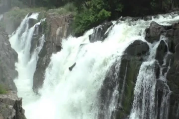 நீர்வரத்து அதிகரிப்பின் எதிரொலி - ஒகேனக்கல் காவிரி ஆற்றில் சுற்றுலாப் பயணிகளுக்கு தடை!