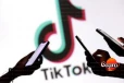 යුරෝපා සංගමය දක්වා ගිය TikTok වීඩියෝව - විමර්ශනය කරන්නැයි ඉල්ලීමක්