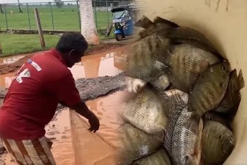 மட்டக்களப்பின் பிரதான வீதியில் பலரையும் வியக்க வைத்த கடற்றொழிலாளர் (Video)