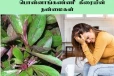மூட்டுவலி, மாதவிடாய் பிரச்சினையால் அவதிப்படுகின்றீர்களா? பொன்னாங்கண்ணி கீரையின் நன்மைகள்