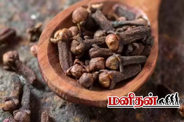 கிராம்பு சாப்பிடும் முன் கவனம்! சிலருக்கு இது விஷம் ஆகலாம்- மருத்துவர் எச்சரிக்கை | Who Should Avoid Cloves In Tamil