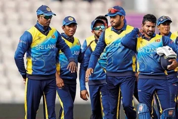 விசேட இருபது ஓவர் தொடர் நடத்த தீர்மானம்!