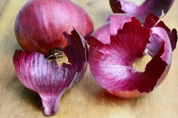 வெங்காயத் தோலை குப்பையில் போடுபவரா நீங்கள்? அழகில் ஜொலிக்க பயன்படுமாம்