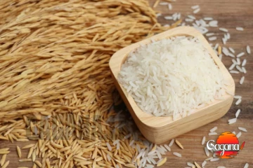 සහල් හිඟයට ගන්න වී අලෙවි මණ්ඩලය ළඟ තියෙන්නේ වී මෙට්‍රික් ටොන් 59යි