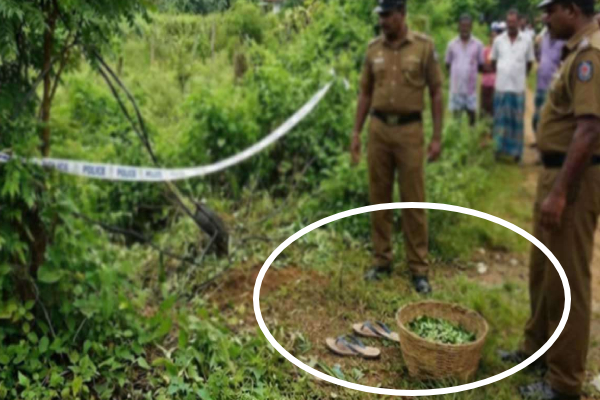 கருவேப்பிலை பறித்த தாயும் மகளும் மின்சாரம் தாக்கி உயிரிழப்பு | Mother And Daughter Died After Being Electrocuted