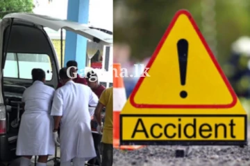 බස් දෙකක් මුහුණට මුහුණ ගැටී සිදුවුණ බිහිසුණ අනතුර - 26ක් රෝහල් දෙකකට ඇතුළත් කරලා..