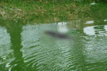 கொழும்பில் கால்வாயில் இருந்து ஆண் ஒருவரின் சடலம் மீட்பு!