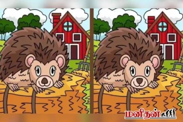 11 வினாடிகளில் 3 வேறுபாட்டை கண்டுபிடிக்க முடியுமா?