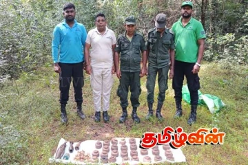 வடக்கில் மனிதாபிமான கண்ணிவெடி அகற்றும் பணிகள் முன்னெடுப்பு