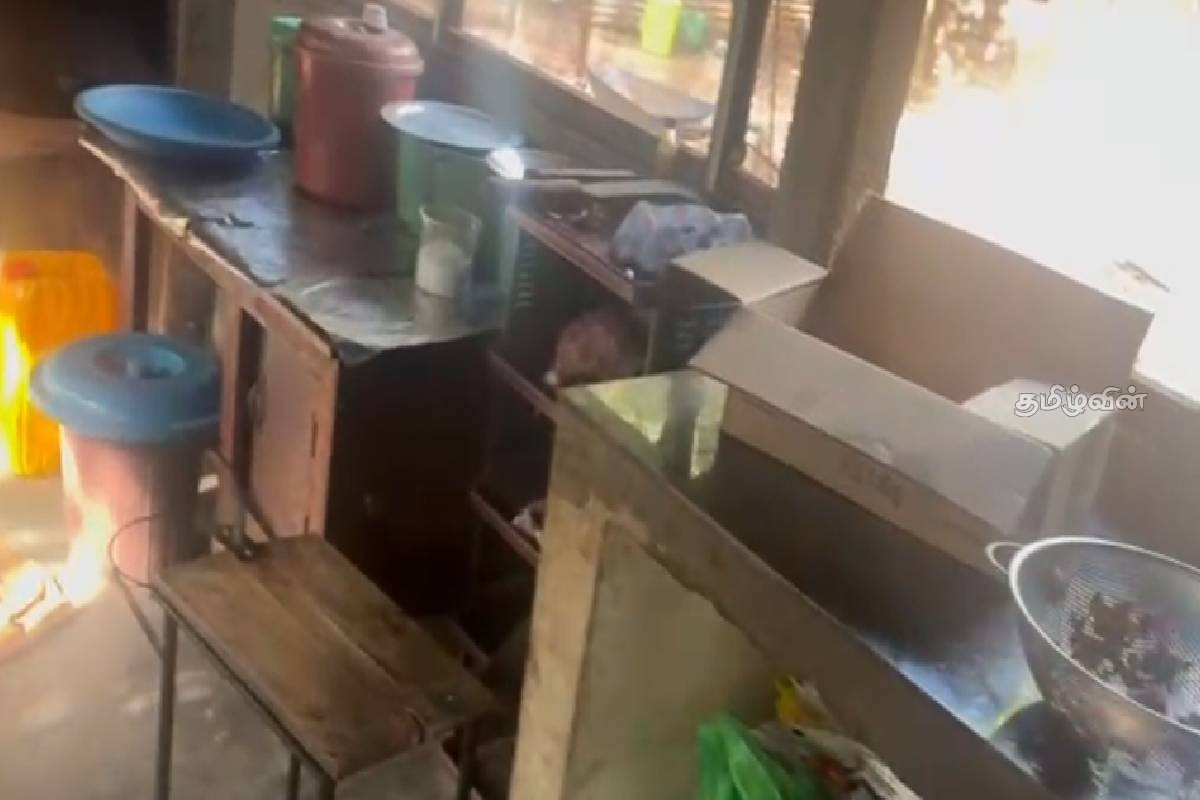முல்லைத்தீவில் சீல் வைக்கப்பட்ட உணவகம் - சோதனையில் சிக்கிய பழுதடைந்த உணவுகள் | Restaurant Sealed In Mullaitivu