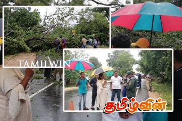 திருகோணமலை - கண்டி பிரதான வீதியில் பாரிய மரம் முறிந்து வீழ்ந்து போக்குவரத்து ஸ்தம்பிதம்