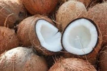 குடும்பமொன்றுக்கு ஒரு நாளைக்கு அரைபாதி தேங்காய் போதுமாம்