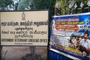 வடக்கு கால்நடை வைத்திய அதிகாரிகளின் பிரச்சினைகளுக்கு தீர்வு வழங்க கோரி போராட்டம்