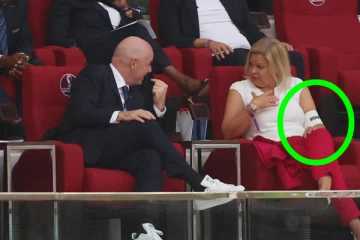 உலகக் கிண்ண கால்பந்தாட்ட போட்டி; தடையை மீறிய ஜேர்மன் அமைச்சர்!