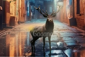 ඡායාරූප සංස්කරණය අලුත් වෙයි..නව අත්දැකීම ගැන මෙතනින් දැනගන්න..