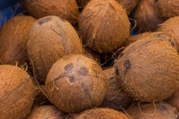 தேங்காயின் விலையில் ஏற்பட்டுள்ள மாற்றம்!