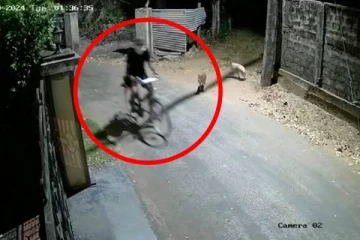 யாழில் இரவு முகங்களை மறைத்தவாறு நடமாடும் மர்ம நபர்கள்! சிசிரிவி காட்சிகள்