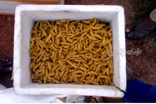 வவுனியாவில் மீட்கப்பட்ட பெருமளவிலான மஞ்சள்: விசாரணையில் வெளிவந்த தகவல் | Vavuniya Turmeric Sl Police