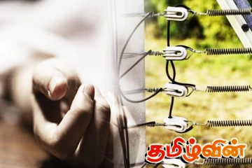 சட்டவிரோத மின்சார வேலியில் சிக்கி ஒருவர் பலி