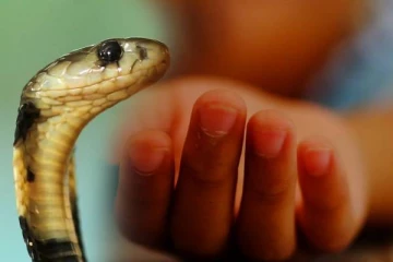 மருந்து பற்றாக்குறையால்  உயிரிழந்த சிறுவன்