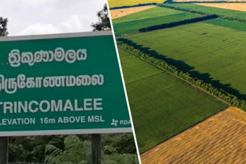 திருகோணமலையில் பல ஏக்கர் காணி அபகரிப்பு : குகதாசன் குற்றச்சாட்டு