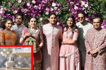 அம்பானி குடும்பத்தினர் குடிக்கும் அரியவகை பசும் பால் - ஒரு லீற்றர் எவ்வளவு தெரியுமா?