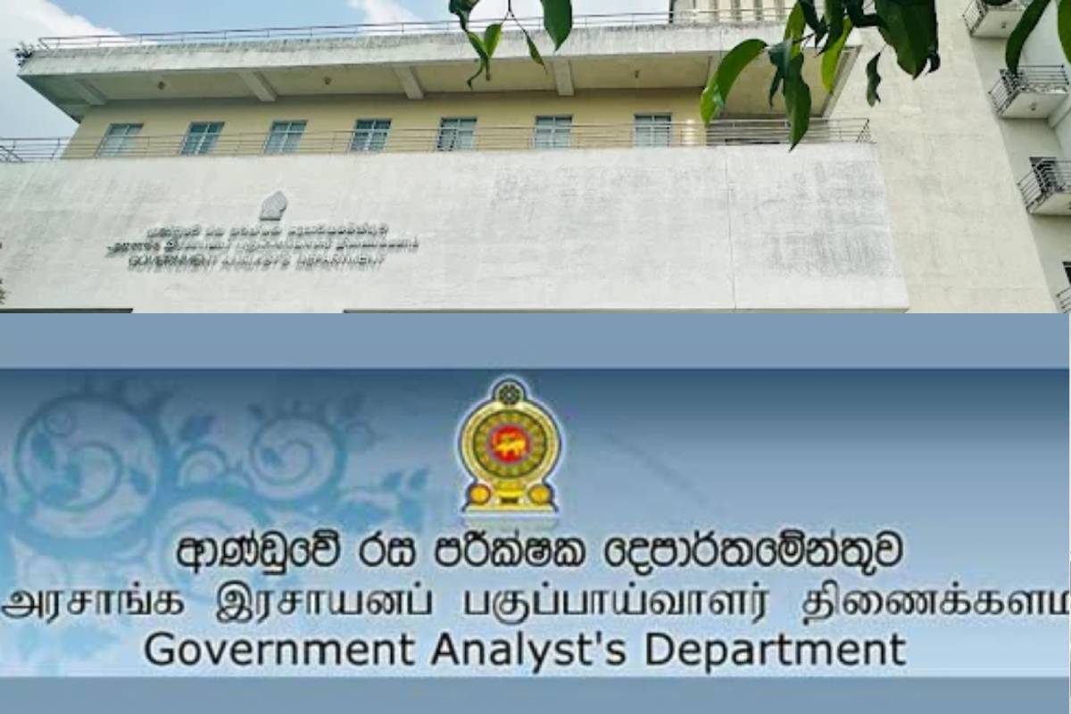 இஷாரா செவ்வந்தியின் பிறந்த நாள் கேக் விவகாரம் : தொடரும் விசேட விசாரணை | Mysterious Object In Ishara Sewwandi Birthday Cake இஷாரா செவ்வந்தியின் பிறந்த நாள் கேக் விவகாரம் : தொடரும் விசேட விசாரணை | Mysterious Object In Ishara Sewwandi Birthday Cake