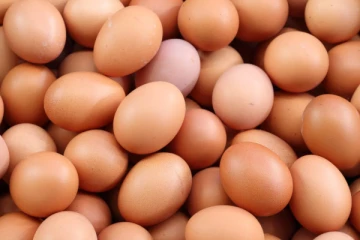 முட்டைகளுக்கு தட்டுப்பாடு ஏற்படுமா!