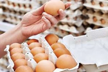 முட்டை இல்லை -இலங்கையில் ஏற்பட்டுள்ள பாரிய நெருக்கடி