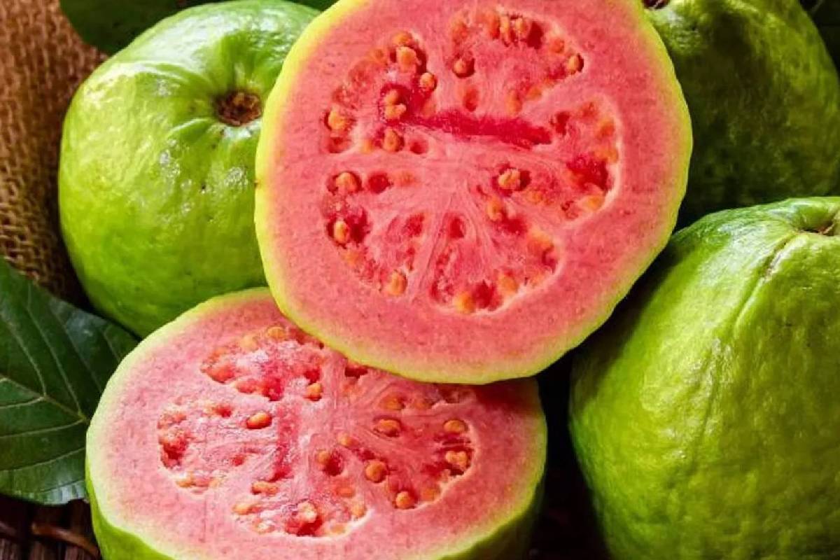 இனிப்பு புளிப்பு நிறைந்த கொய்யா சட்னி - சமோசாக்கு இது சரியான சைடிஷ் | How To Make Guava Chutney Easy Recipe