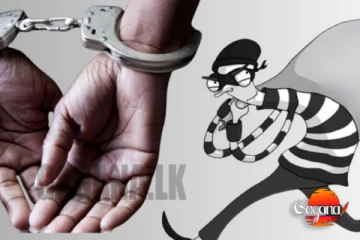 බුදු අම්මේ මෙහෙමත් හොරු ගෑනු ඇඳුම් ඇඳගෙන ෂෙඩ් එකක් කොල්ල කාලා