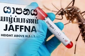 யாழில் உச்ச கட்டத்தில் டெங்கு தொற்று: யாழ். பல்கலைக்கழக மருத்துவ பீட பீடாதிபதி குற்றச்சாட்டு
