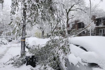 டொரண்டோவில் பனிப்பொழிவு குறித்து எச்சரிக்கை