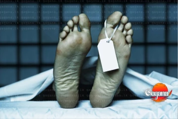 දෙයියනේ රථ වාහන පරීක්ෂා කරපු පොලිස් නිලධාරියා හප්පලා මරලා