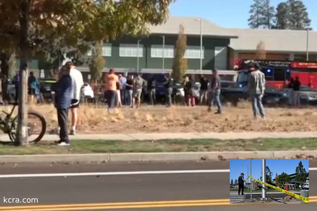oregon gunman used shotgun purchased by mother oregon gunman used shotgun purchased by mother
