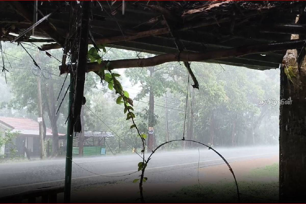 திருகோணமலையில் கொட்டும் கனமழை! பாதிப்பட்டுள்ள மக்களின் இயல்பு வாழ்க்கை | Trincomalee Weather Updates திருகோணமலையில் கொட்டும் கனமழை! பாதிப்பட்டுள்ள மக்களின் இயல்பு வாழ்க்கை | Trincomalee Weather Updates