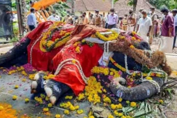 முதல்முறையாக உயிரிழந்த யானைக்கு கோவிலுக்குள் மணிமண்டபம் கட்டிய மக்கள்!